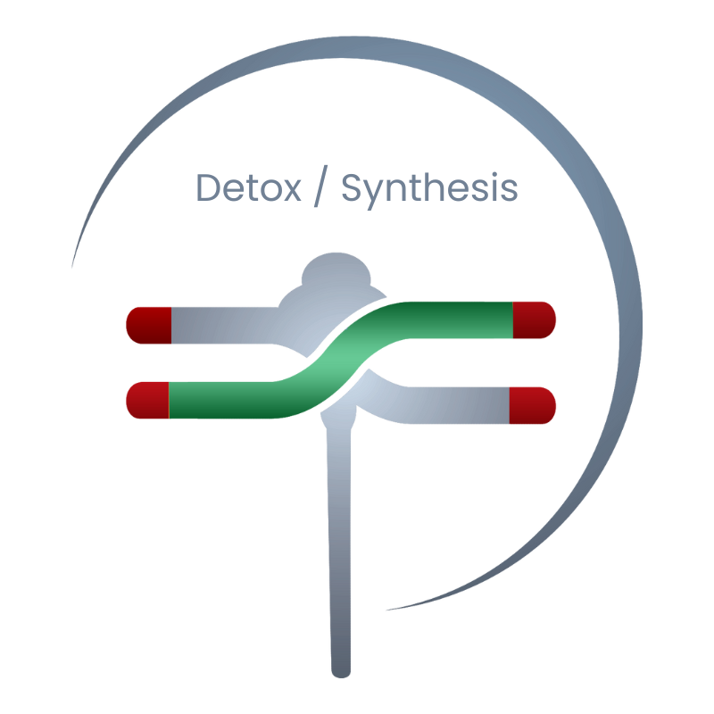 Detox / Synthesis