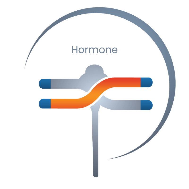 Hormone