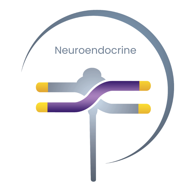 Neuroendocrine