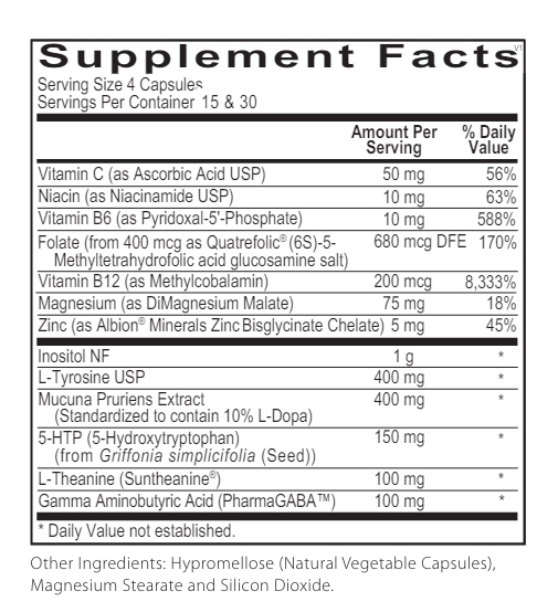 Neuro-T Support