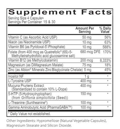 Neuro-T Support